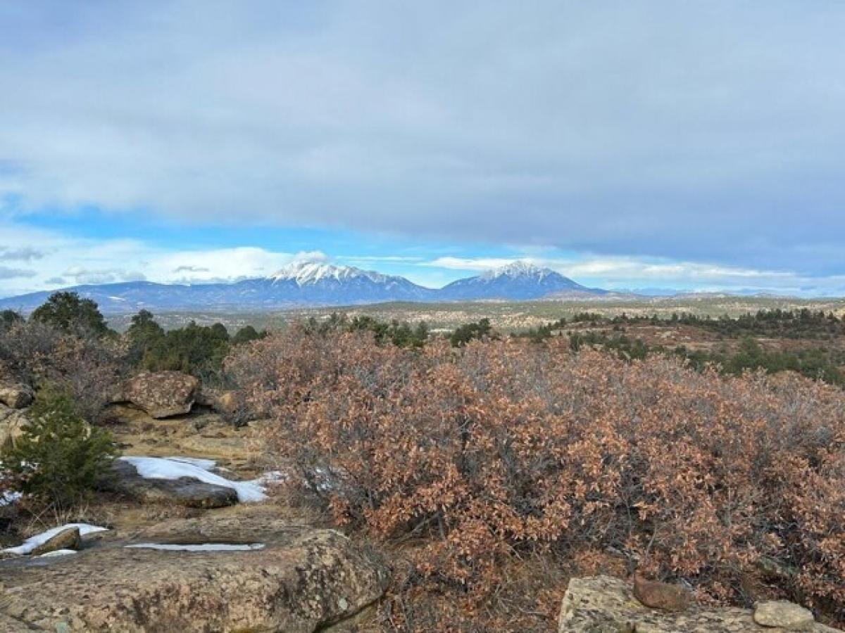 Picture of Residential Land For Sale in Weston, Colorado, United States