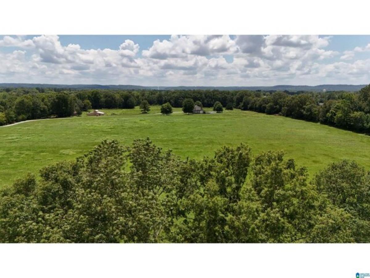 Picture of Residential Land For Sale in Falkville, Alabama, United States