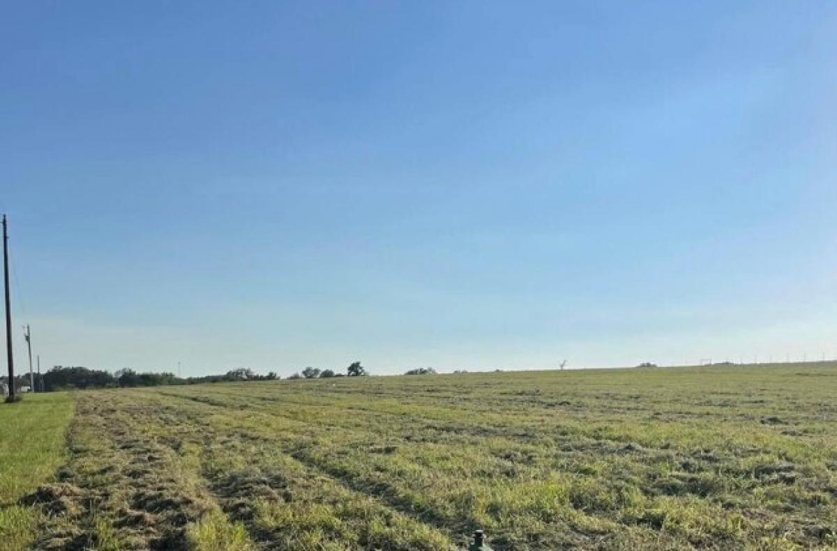 Picture of Residential Land For Sale in Wills Point, Texas, United States