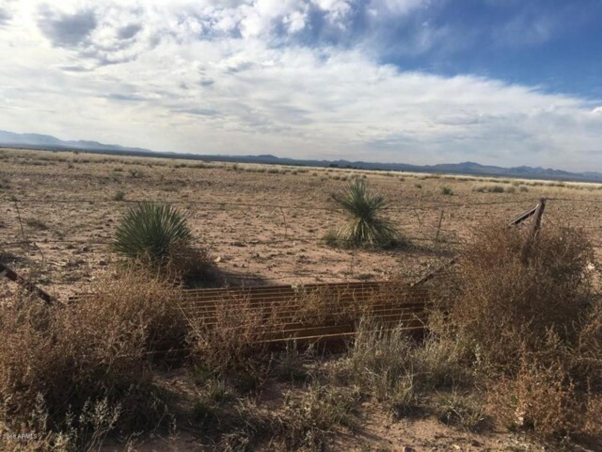 Picture of Residential Land For Sale in McNeal, Arizona, United States