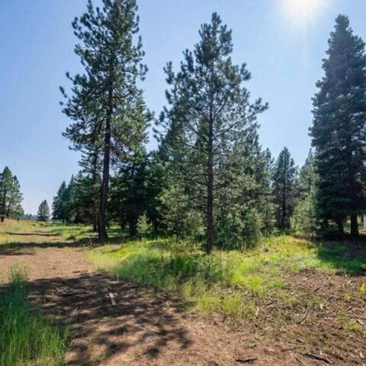 Picture of Residential Land For Sale in McCall, Idaho, United States