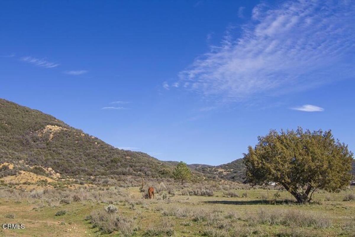 Picture of Residential Land For Sale in Ojai, California, United States