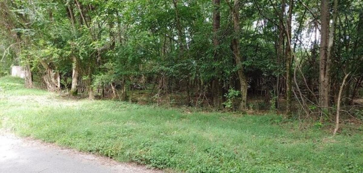 Picture of Residential Land For Sale in Athens, Tennessee, United States