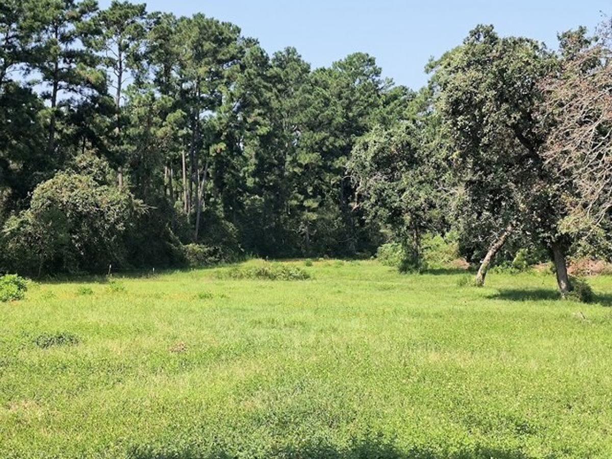 Picture of Residential Land For Sale in Navasota, Texas, United States