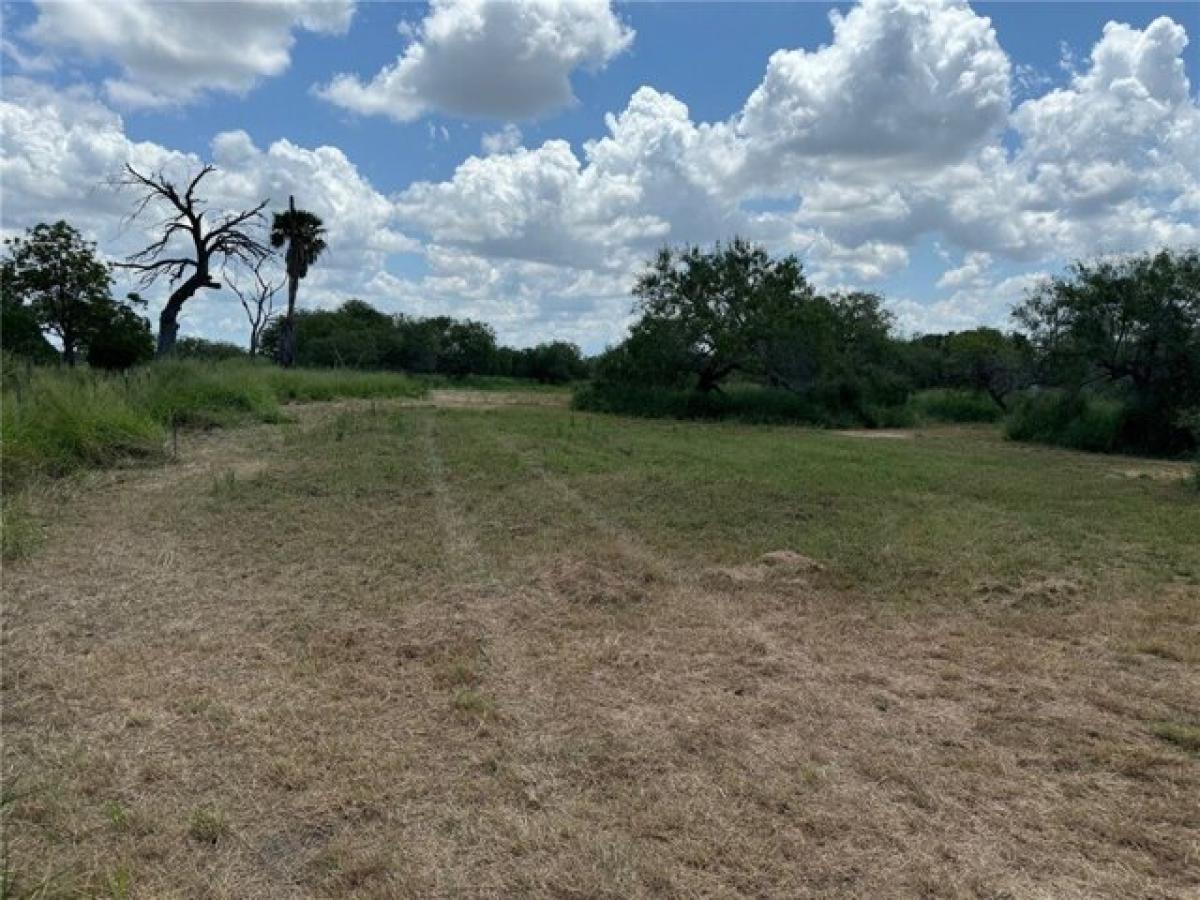 Picture of Residential Land For Sale in Bishop, Texas, United States