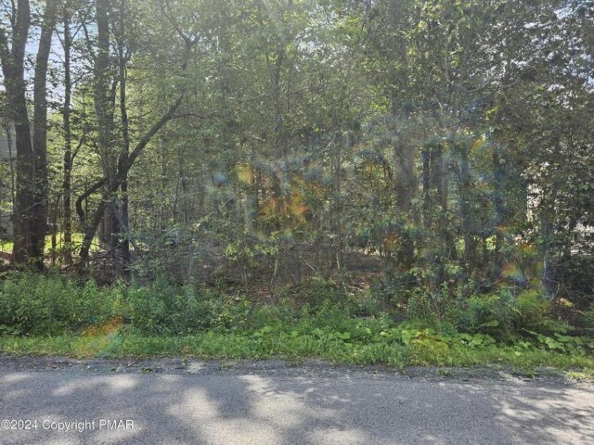 Picture of Residential Land For Sale in Tobyhanna, Pennsylvania, United States