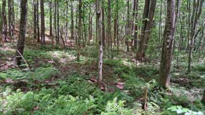 Residential Land For Sale in Rockwood, Tennessee