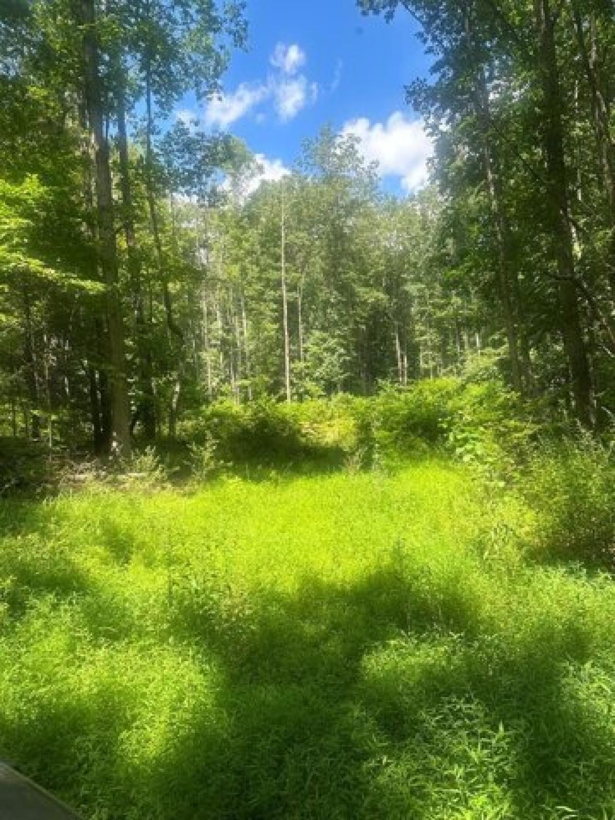 Picture of Residential Land For Sale in Lindside, West Virginia, United States