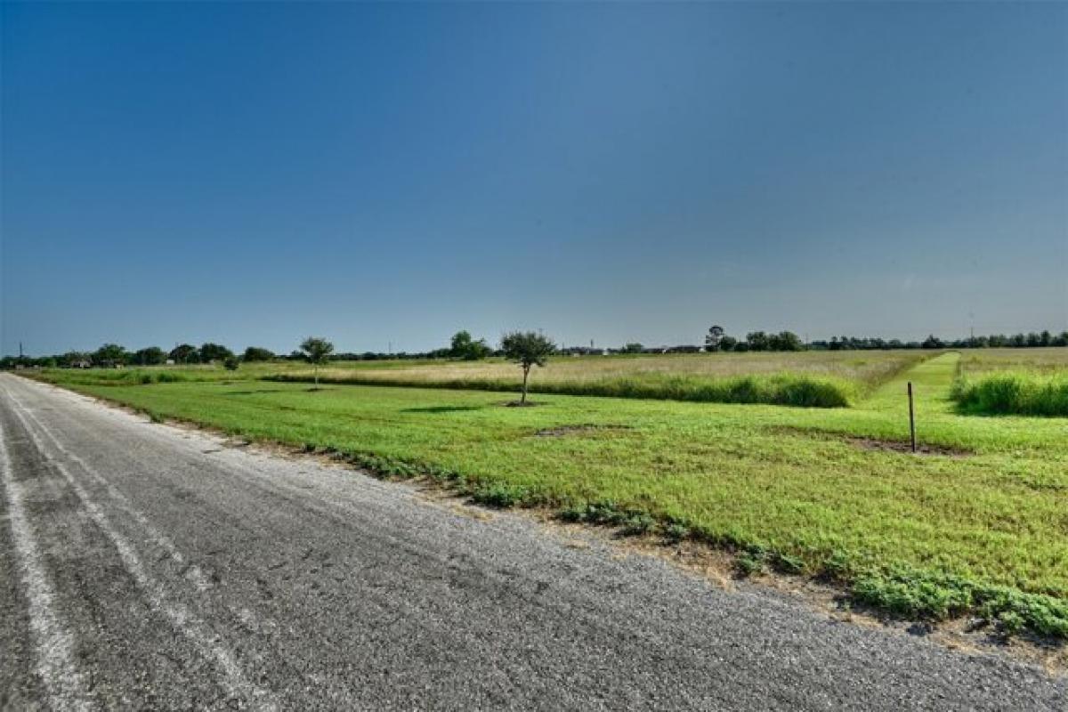 Picture of Residential Land For Sale in Beasley, Texas, United States