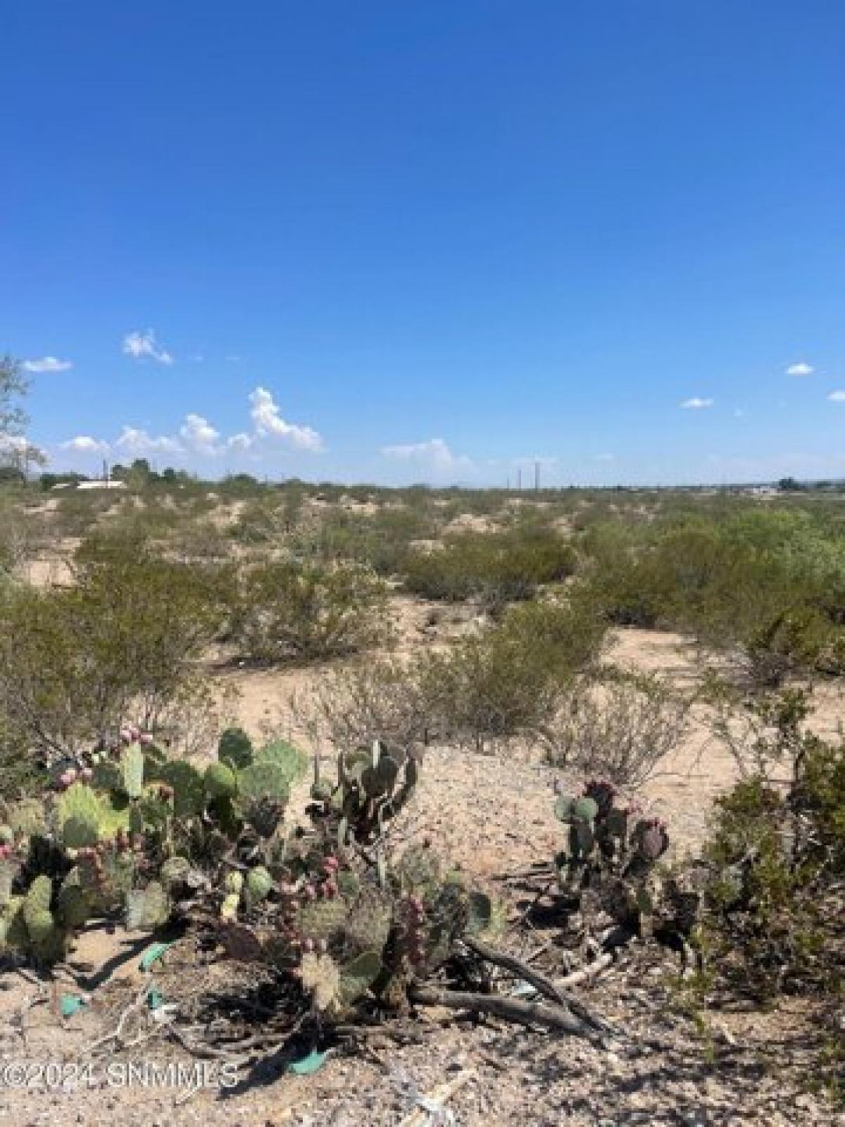 Picture of Residential Land For Sale in Las Cruces, New Mexico, United States