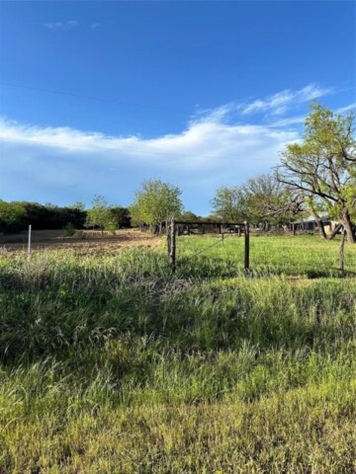 Picture of Residential Land For Sale in Ovalo, Texas, United States