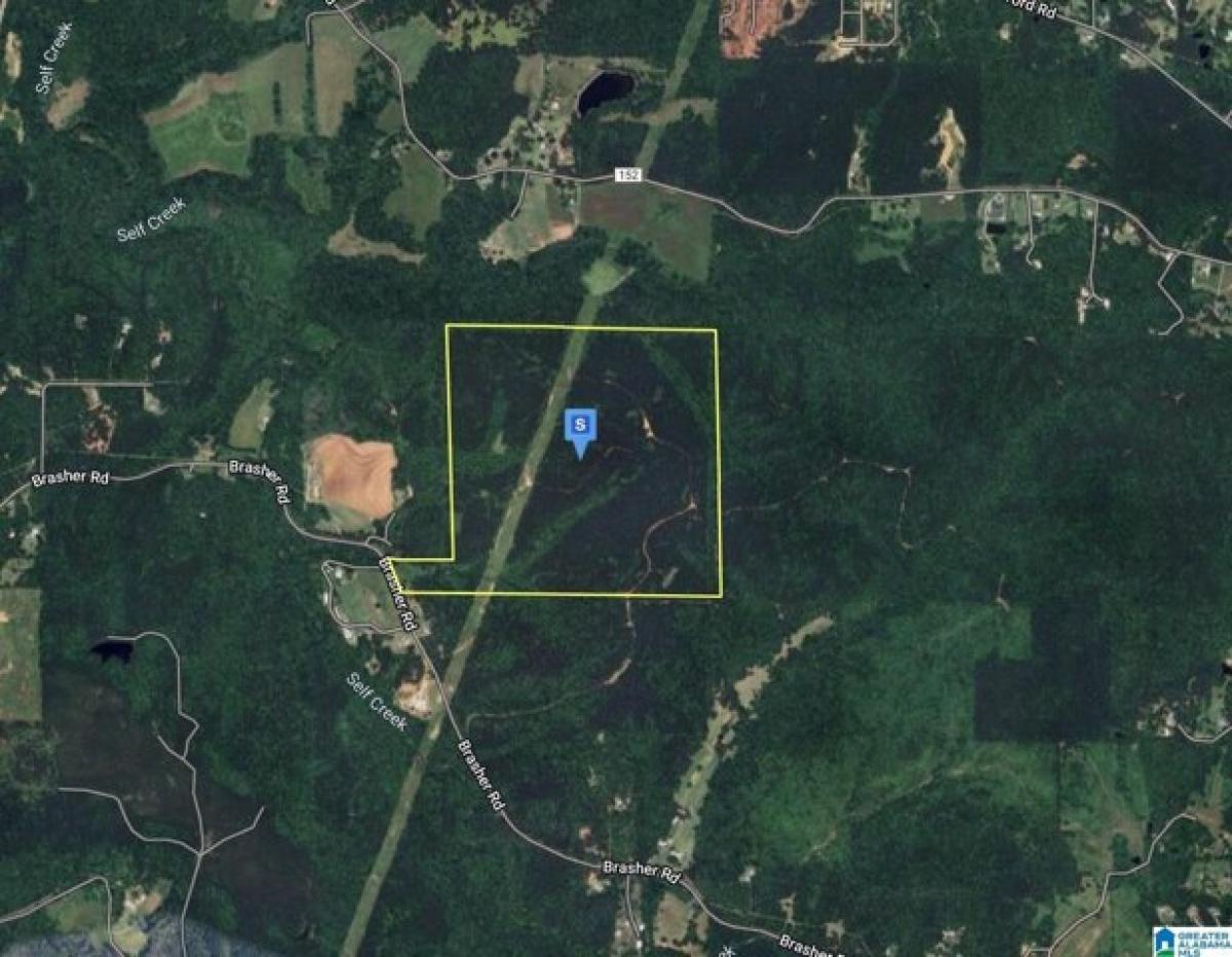 Picture of Residential Land For Sale in Warrior, Alabama, United States