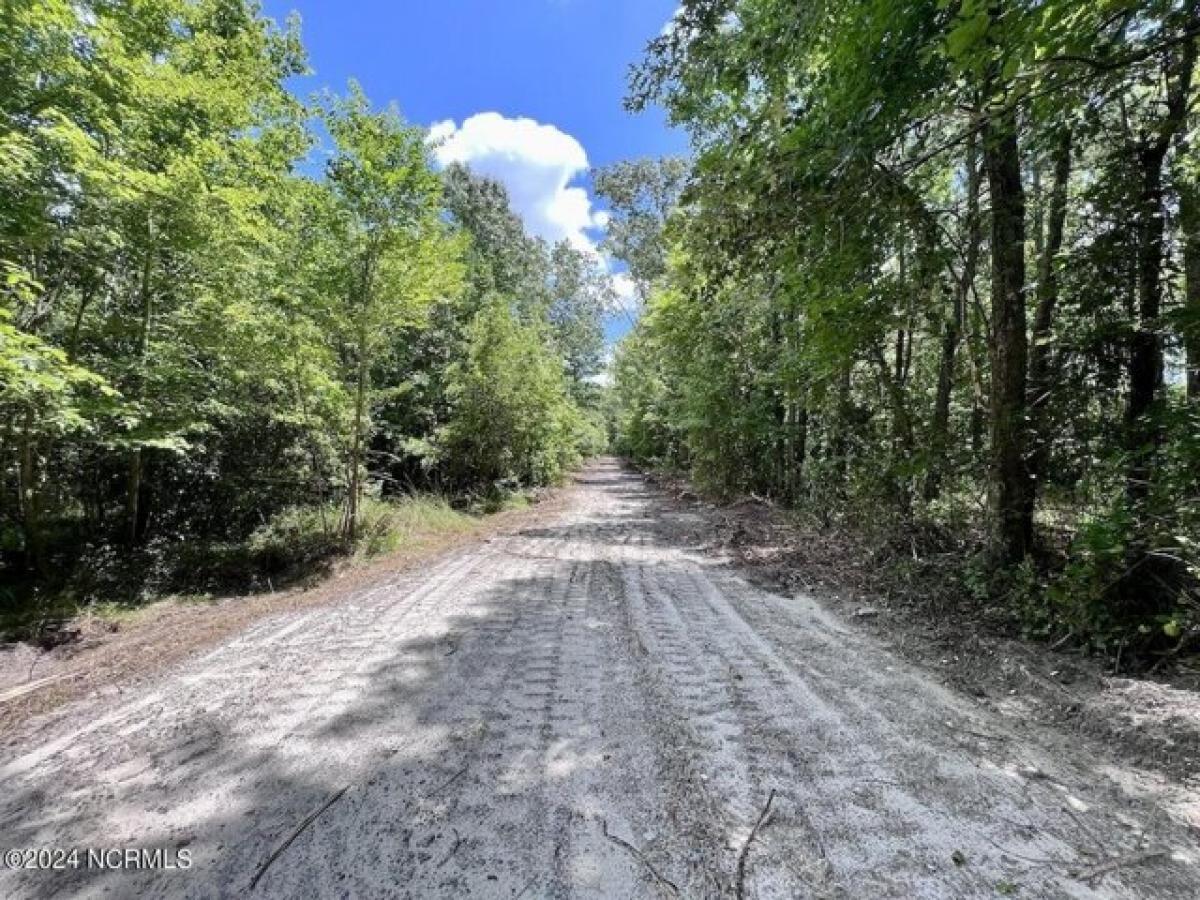 Picture of Residential Land For Sale in Belhaven, North Carolina, United States