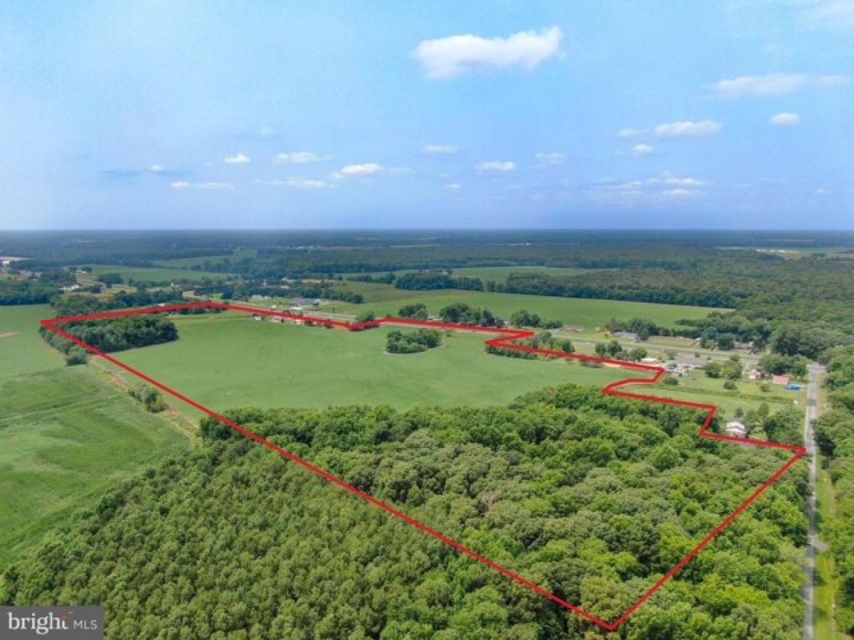 Picture of Residential Land For Sale in Greenwood, Delaware, United States