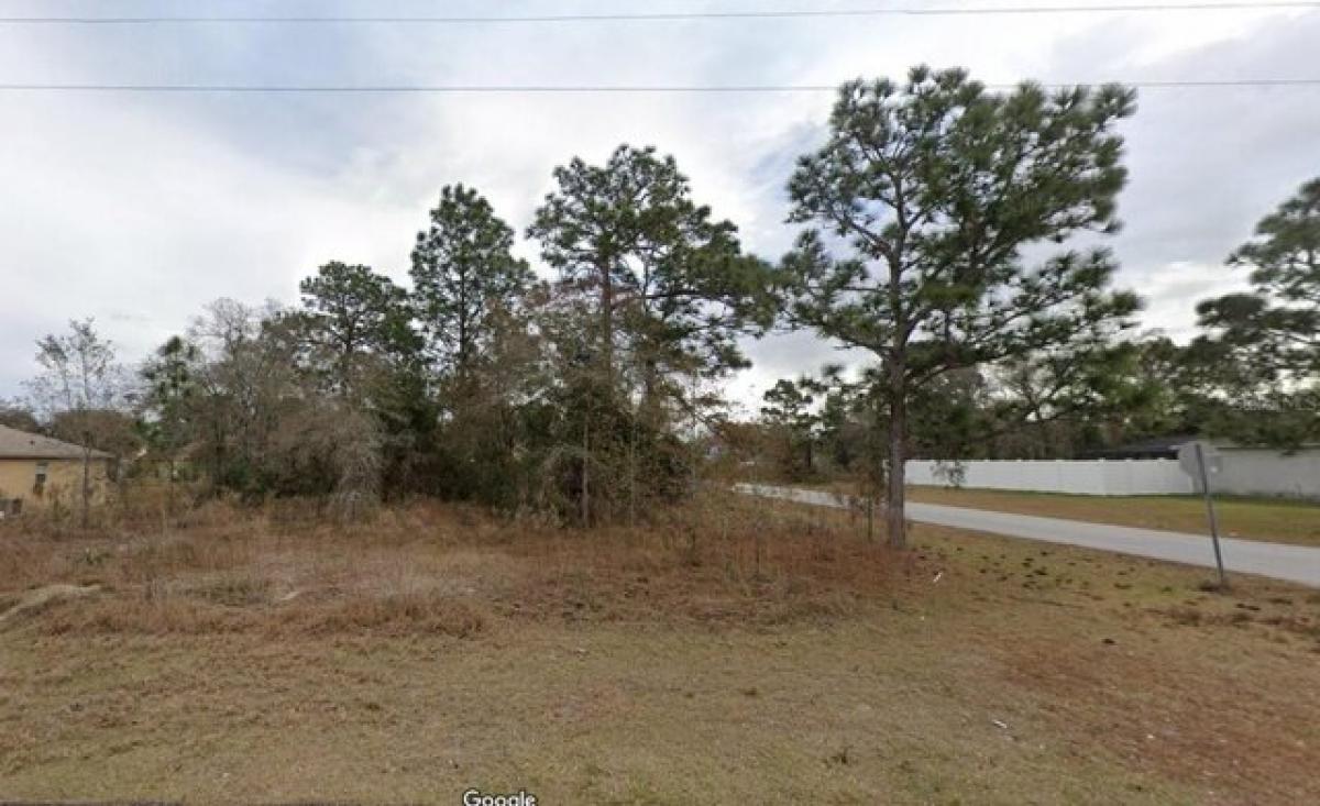 Picture of Residential Land For Sale in Spring Hill, Florida, United States