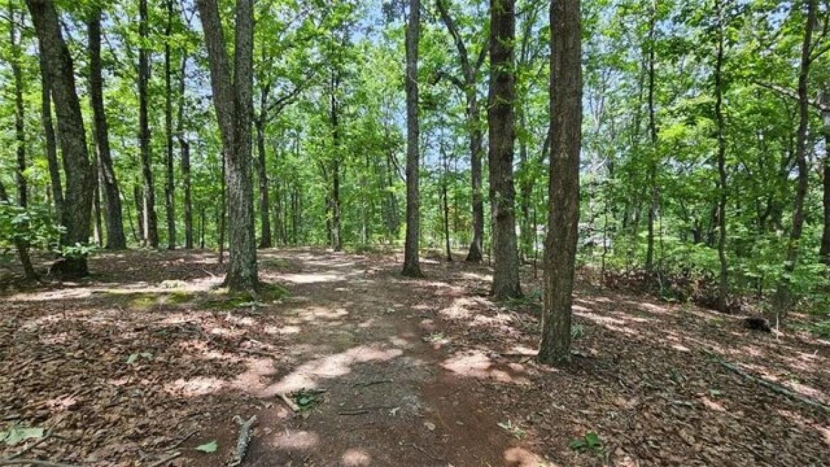 Picture of Residential Land For Sale in Marietta, Georgia, United States