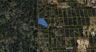 Residential Land For Sale in Plantersville, Texas