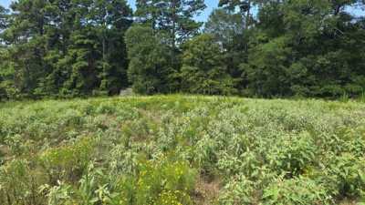 Residential Land For Sale in Mount Enterprise, Texas