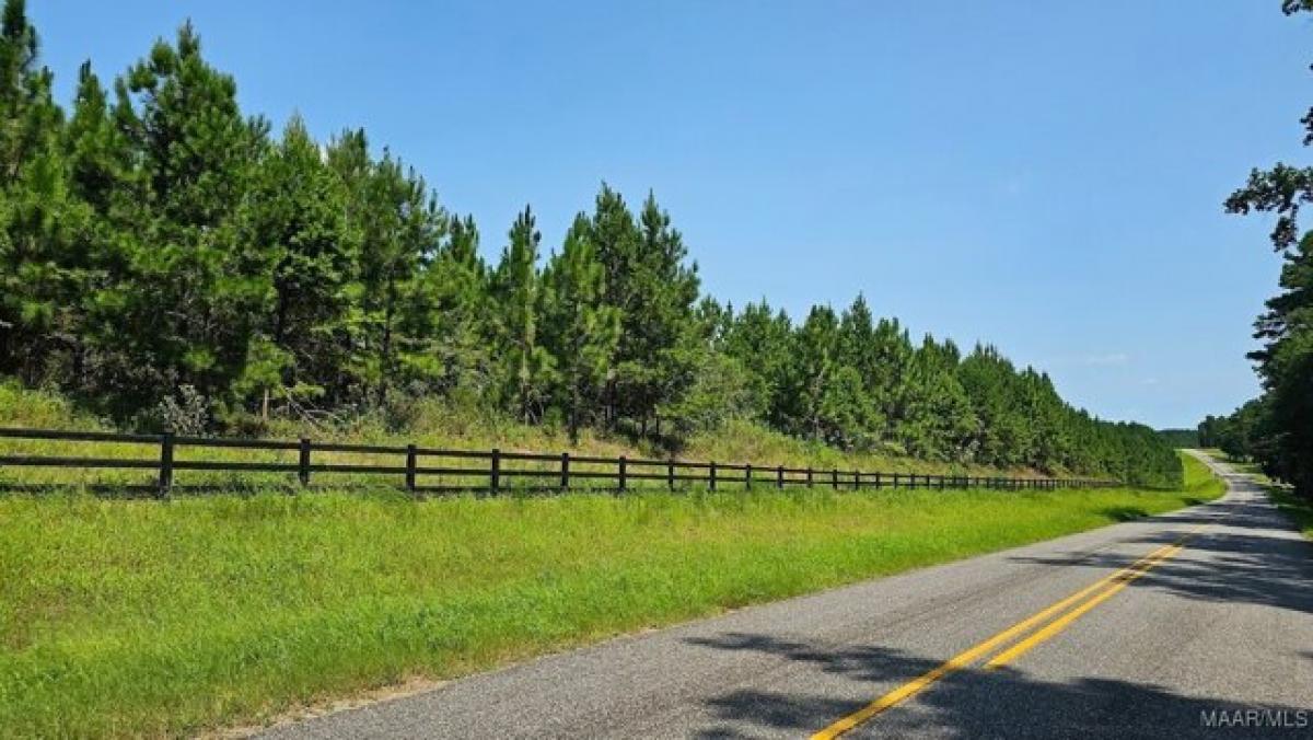 Picture of Residential Land For Sale in Ozark, Alabama, United States