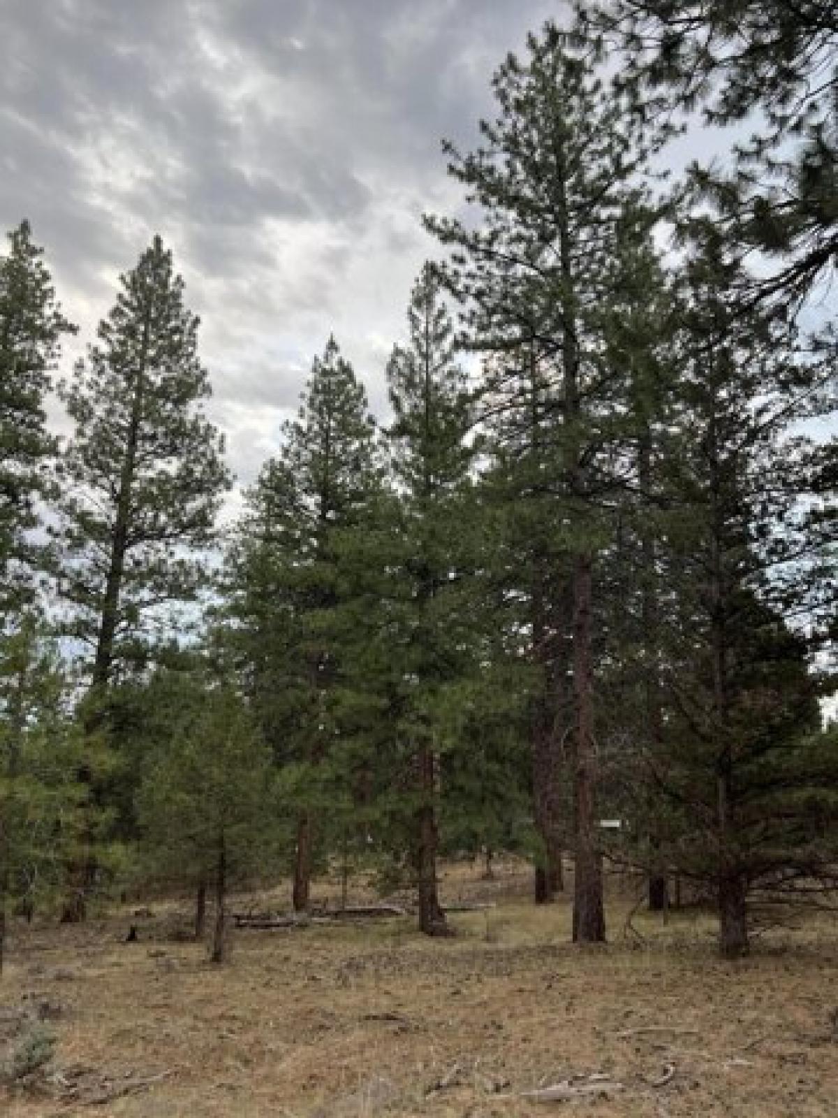 Picture of Residential Land For Sale in Klamath Falls, Oregon, United States