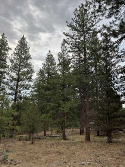 Residential Land For Sale in Klamath Falls, Oregon