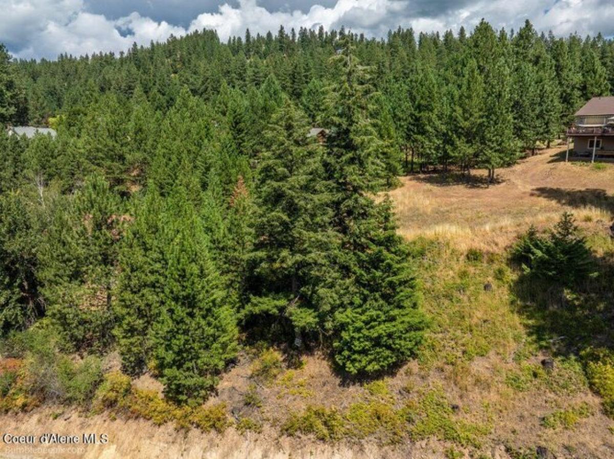 Picture of Residential Land For Sale in Harrison, Idaho, United States