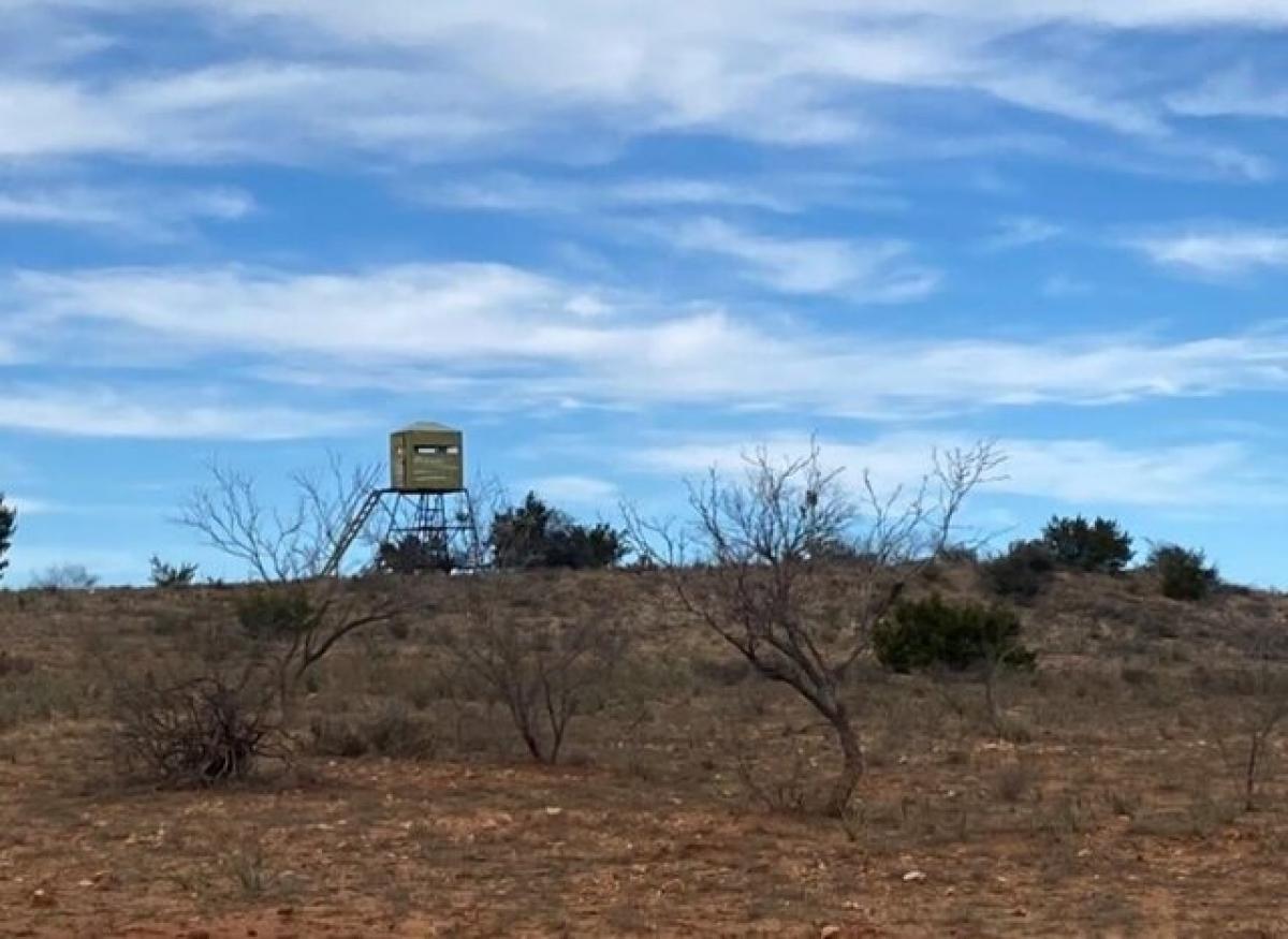 Picture of Residential Land For Sale in Bronte, Texas, United States