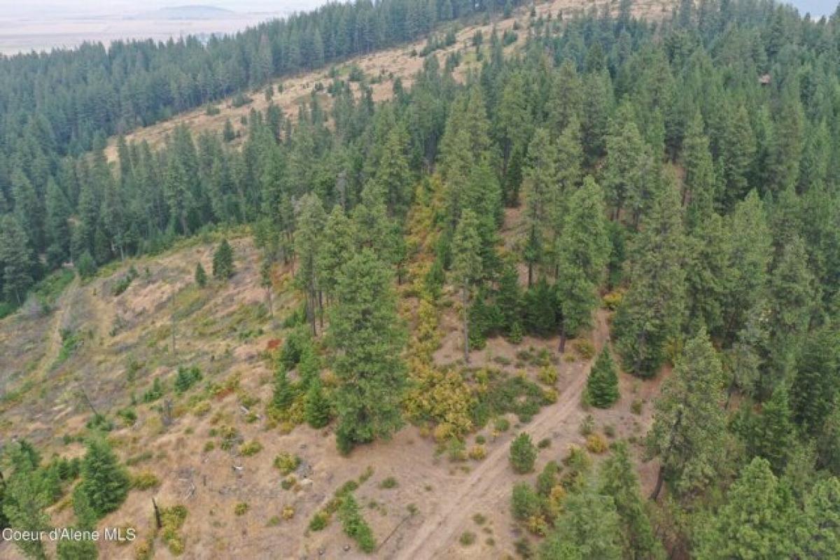 Picture of Residential Land For Sale in Plummer, Idaho, United States