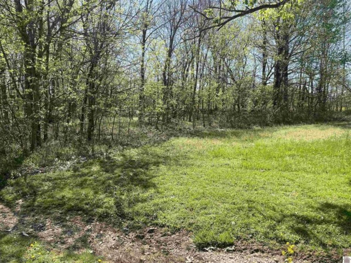 Picture of Residential Land For Rent in Murray, Kentucky, United States