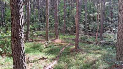 Residential Land For Sale in Rockwood, Tennessee