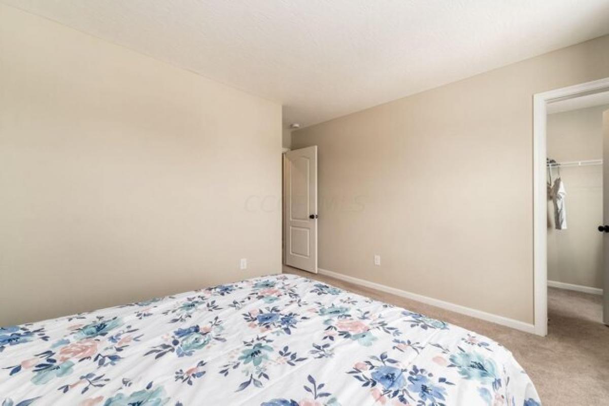 Picture of Home For Rent in Grove City, Ohio, United States