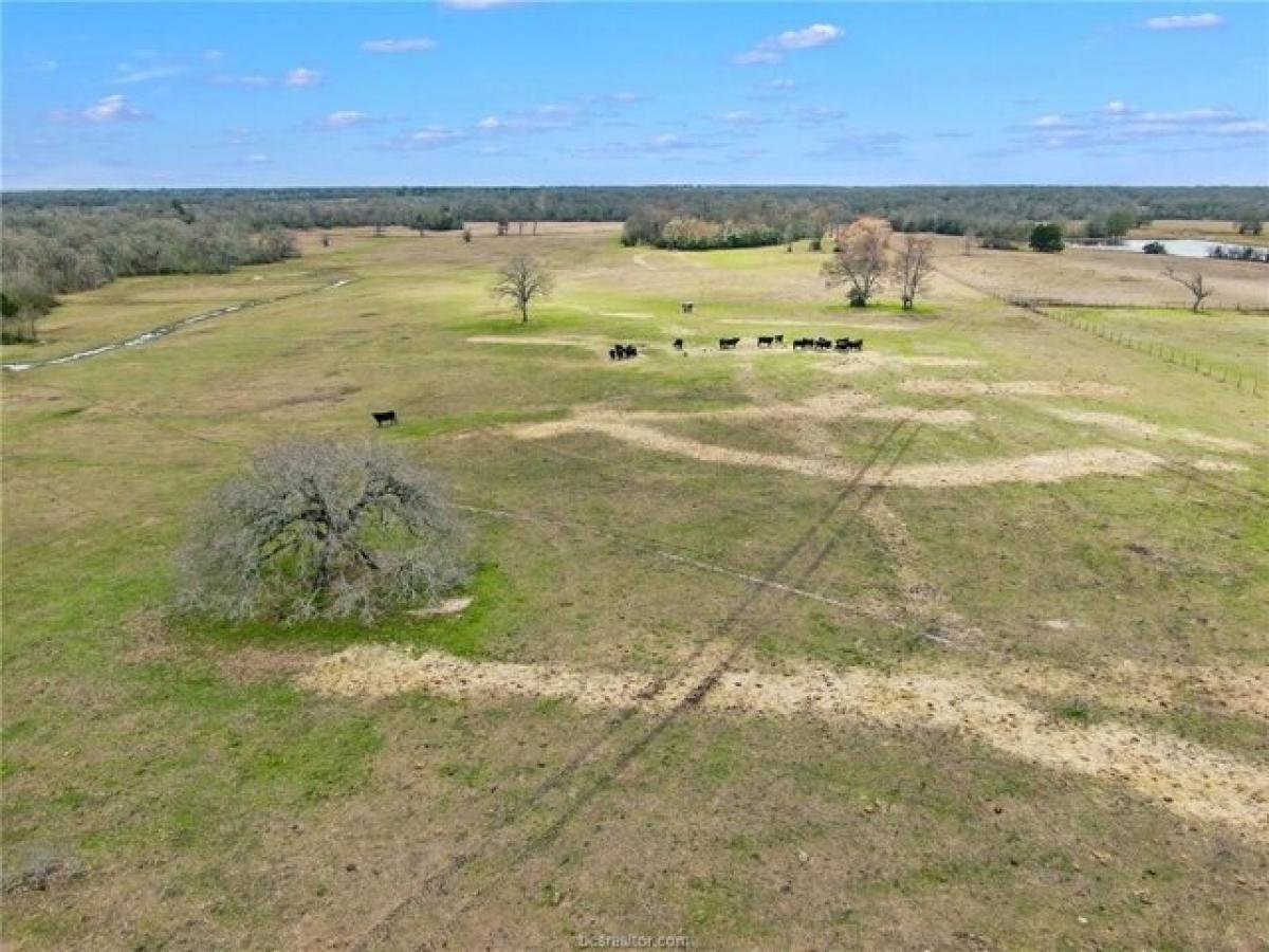 Picture of Residential Land For Sale in Iola, Texas, United States