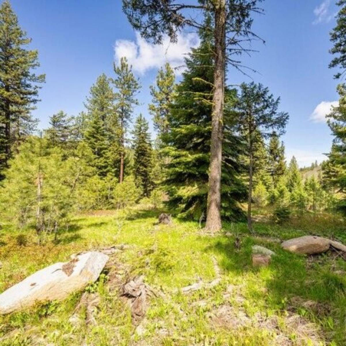 Picture of Residential Land For Sale in McCall, Idaho, United States