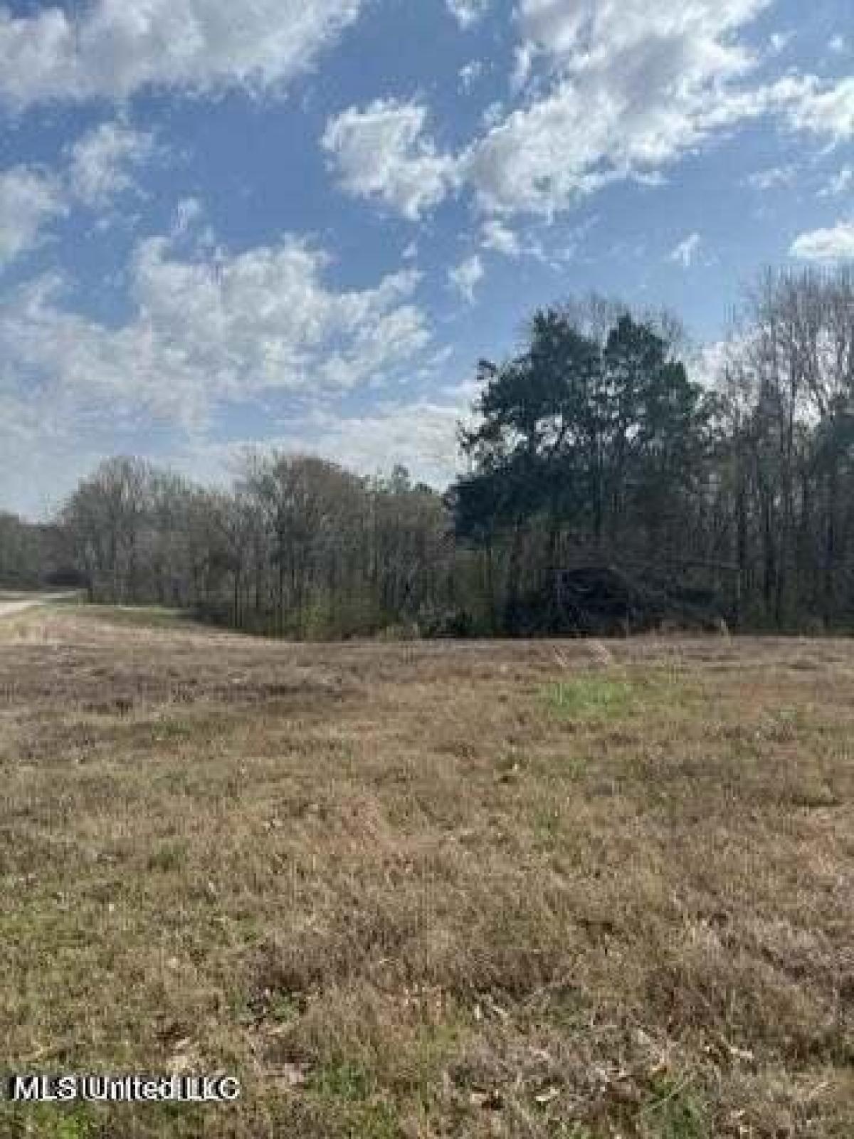 Picture of Residential Land For Sale in Senatobia, Mississippi, United States