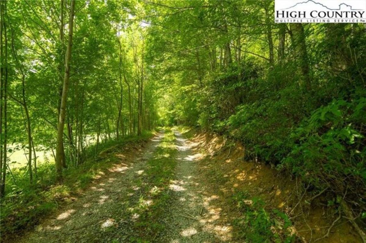 Picture of Residential Land For Sale in Vilas, North Carolina, United States