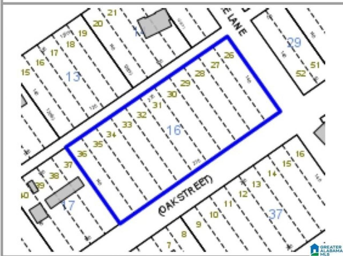 Picture of Residential Land For Rent in Rockford, Alabama, United States