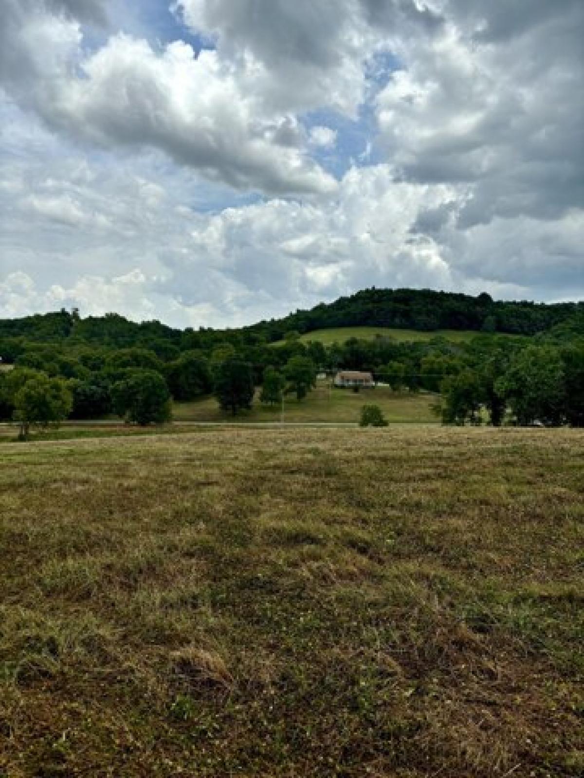 Picture of Residential Land For Sale in Shelbyville, Tennessee, United States