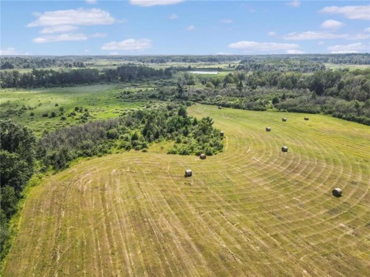 Picture of Residential Land For Sale in Pine River, Minnesota, United States