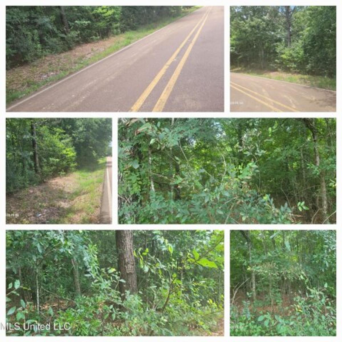 Picture of Residential Land For Sale in Canton, Mississippi, United States