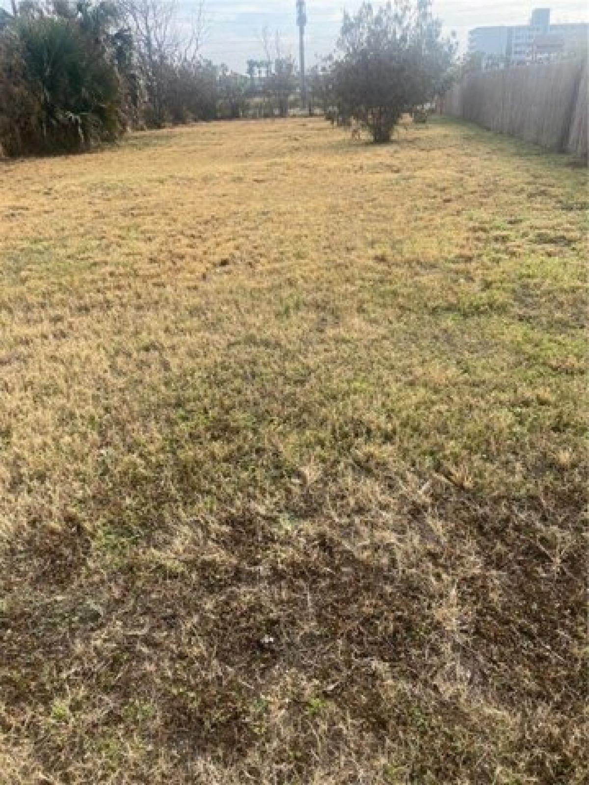 Picture of Residential Land For Sale in Corpus Christi, Texas, United States