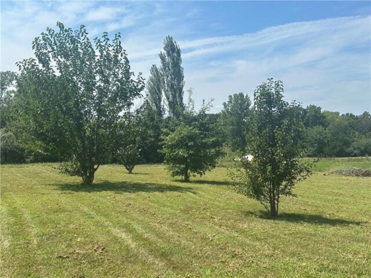 Picture of Residential Land For Sale in Odessa, Missouri, United States