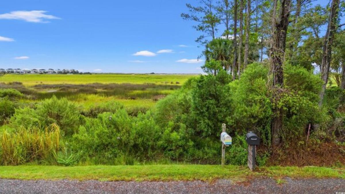 Picture of Residential Land For Sale in Pawleys Island, South Carolina, United States