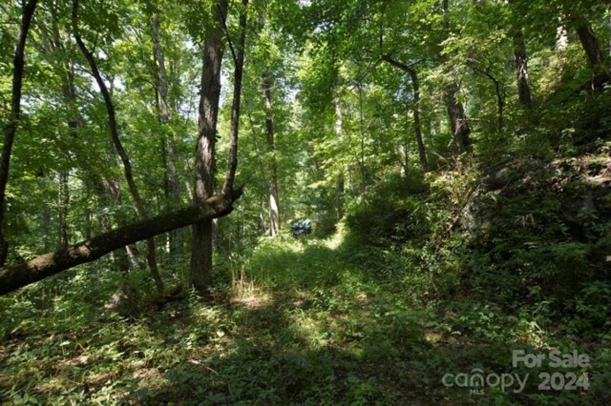 Picture of Residential Land For Sale in Asheville, North Carolina, United States