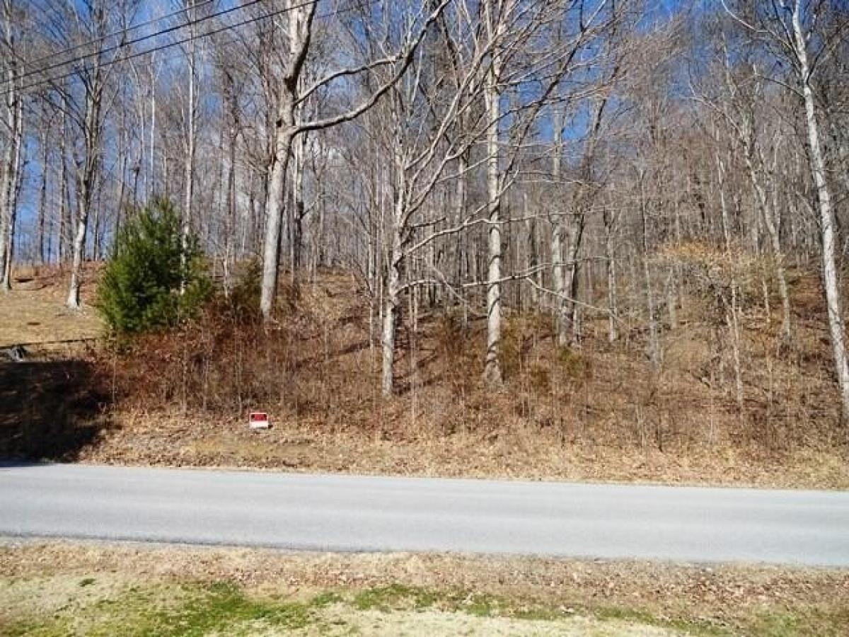 Picture of Residential Land For Sale in Unicoi, Tennessee, United States