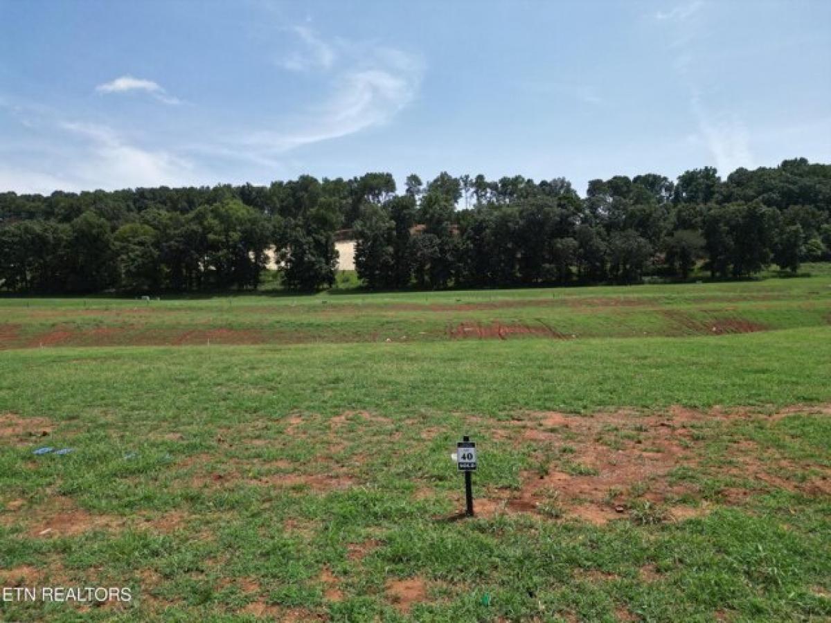 Picture of Residential Land For Sale in Loudon, Tennessee, United States