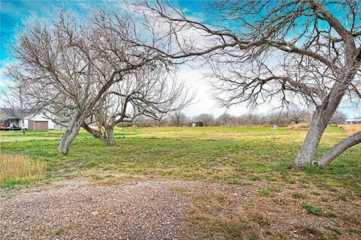 Picture of Residential Land For Sale in Bishop, Texas, United States