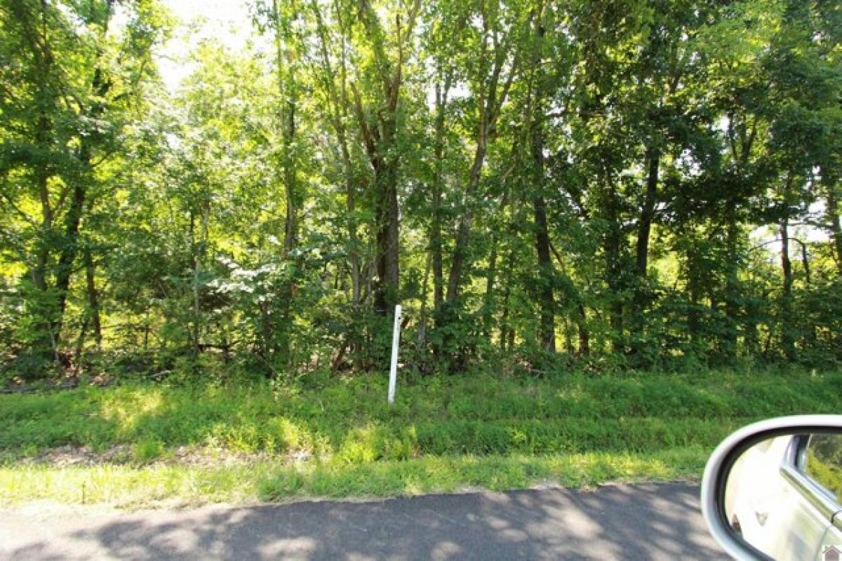 Picture of Residential Land For Sale in Eddyville, Kentucky, United States