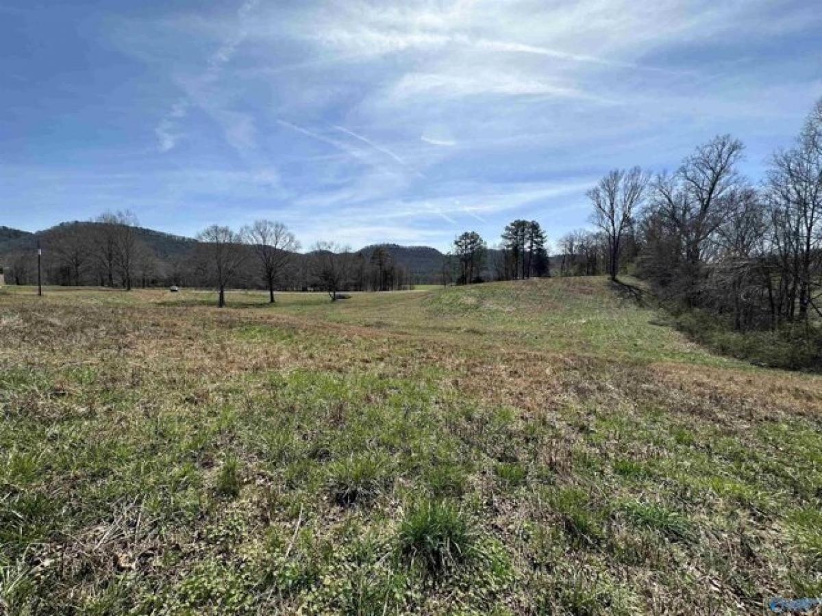 Picture of Residential Land For Sale in Attalla, Alabama, United States