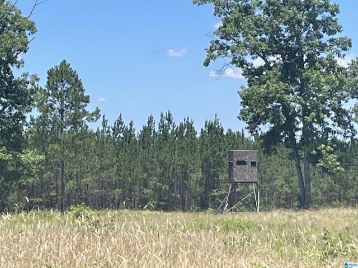 Picture of Residential Land For Sale in Chelsea, Alabama, United States