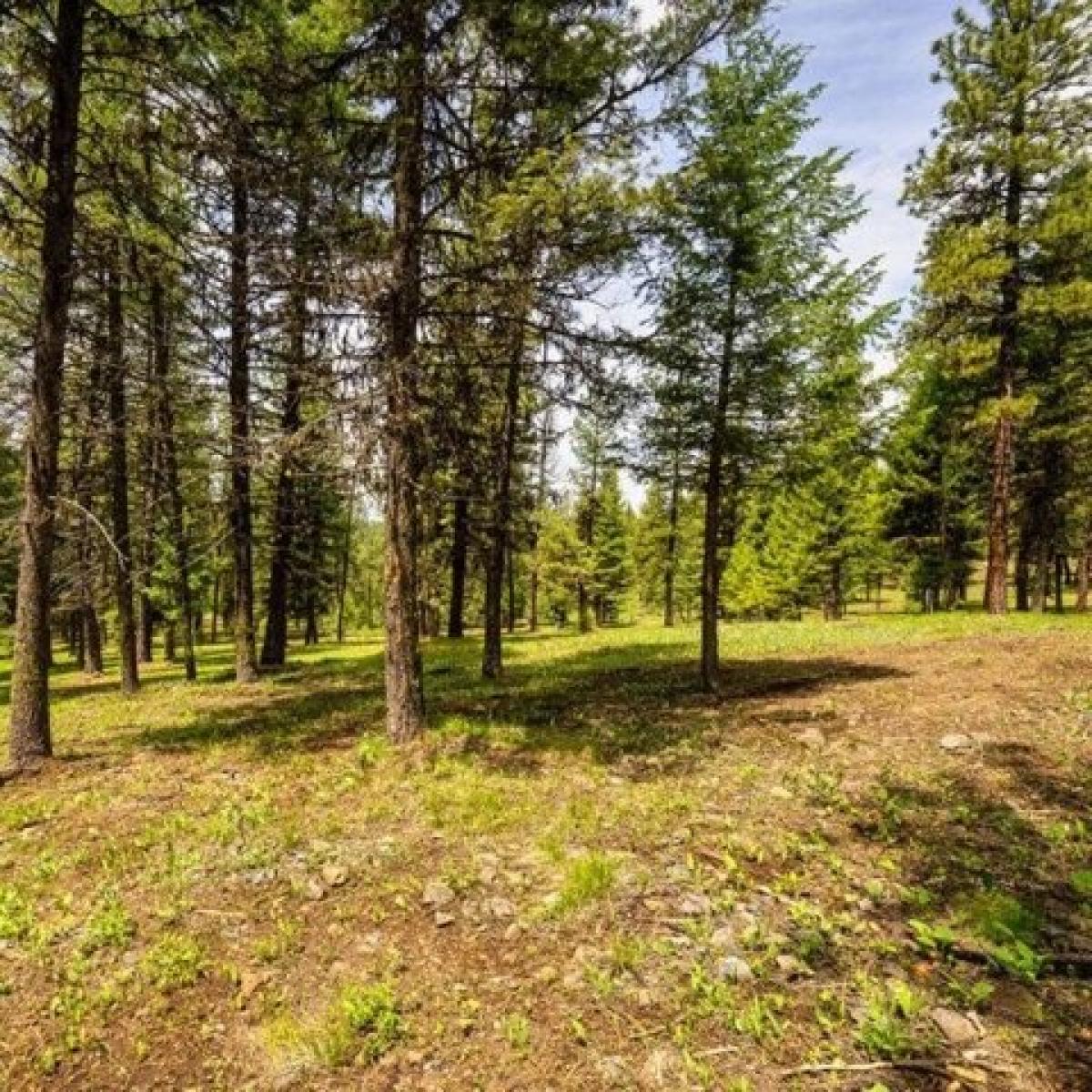 Picture of Residential Land For Sale in McCall, Idaho, United States